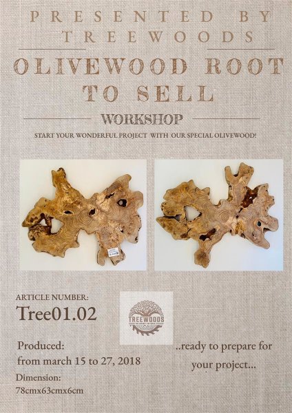 Olivenwurzel Olivenholz Möbelbau behandelt 78x63x6cm Tree 01.02