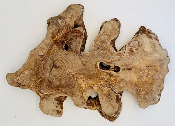 Olivenwurzel Olivenholz Mbelbau behandelt 66x54x6cm Tree 01.10, 339,15