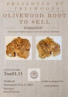 Olivenwurzel Olivenholz Möbelbau behandelt 60x50x6cm...