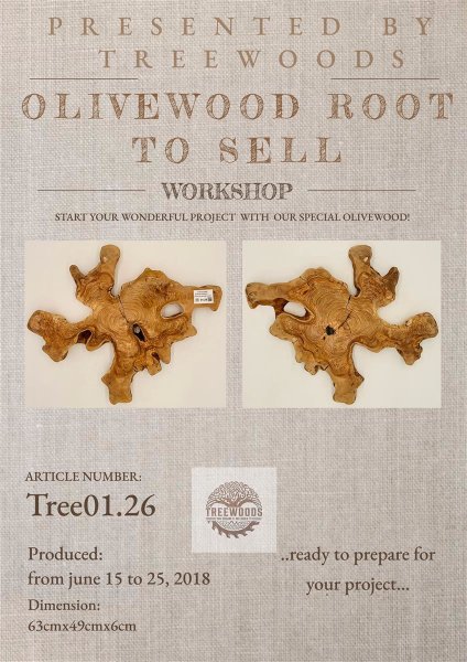Olivenwurzel Olivenholz Möbelbau behandelt 63x49x6cm Tree 01.26