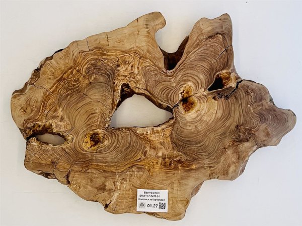 Olivenwurzel Olivenholz Mbelbau behandelt 57x43x6cm Tree 01.27, 233,24